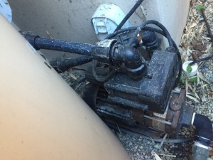 Mona Vale Rain Water Tank                                           